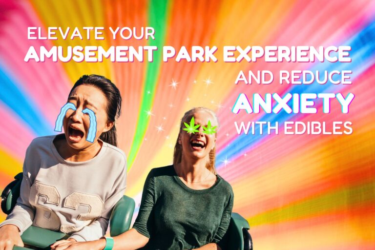11 Tips To Reduce Anxiety Around Theme Park Crowds